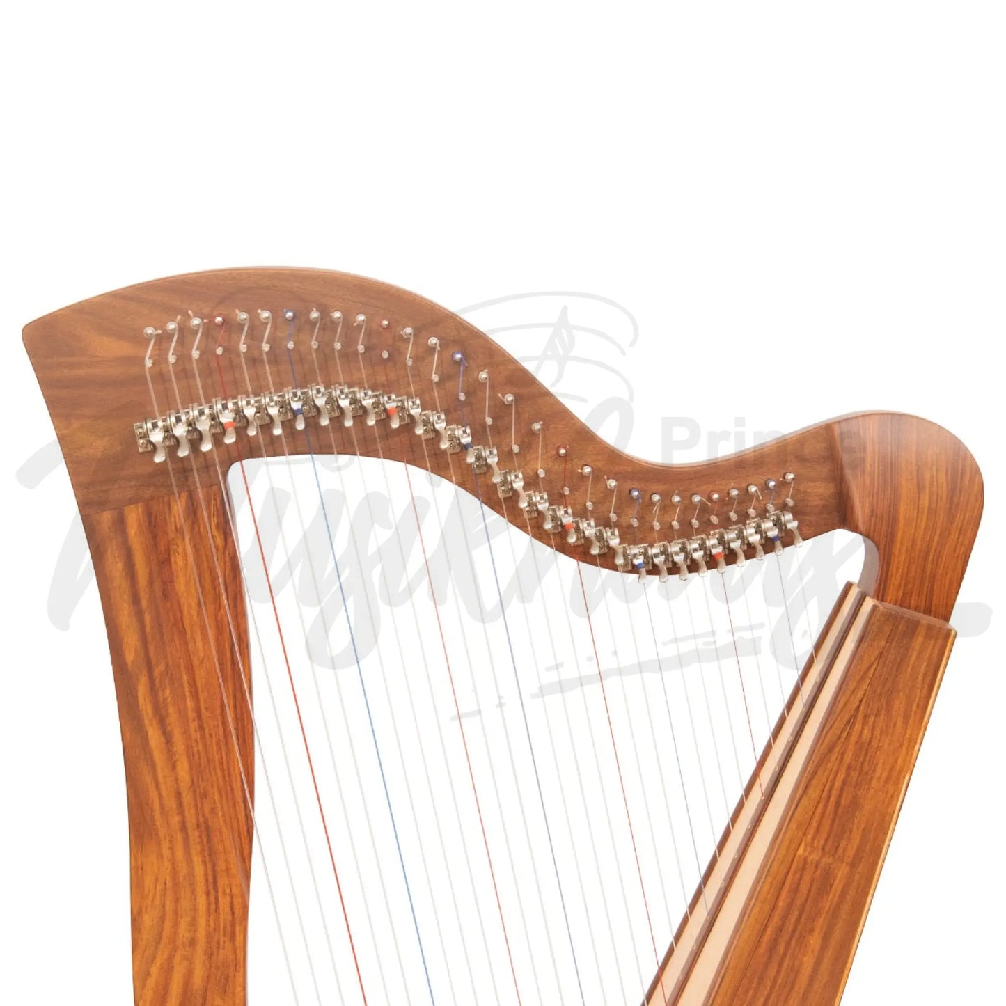 Mchugh Harp 29 String Rosewood Square Back