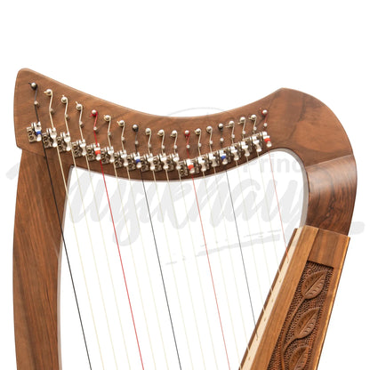 19 String Trinity Harp Walnut