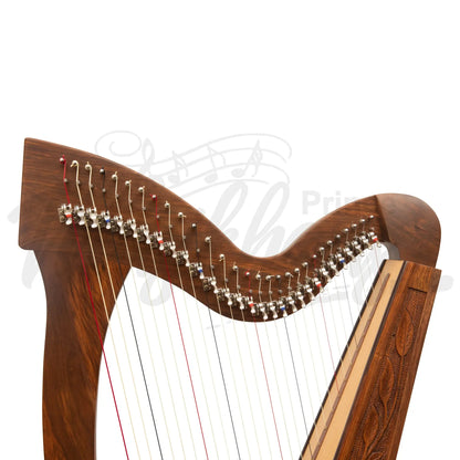 29 String Trinity Harp Rosewood