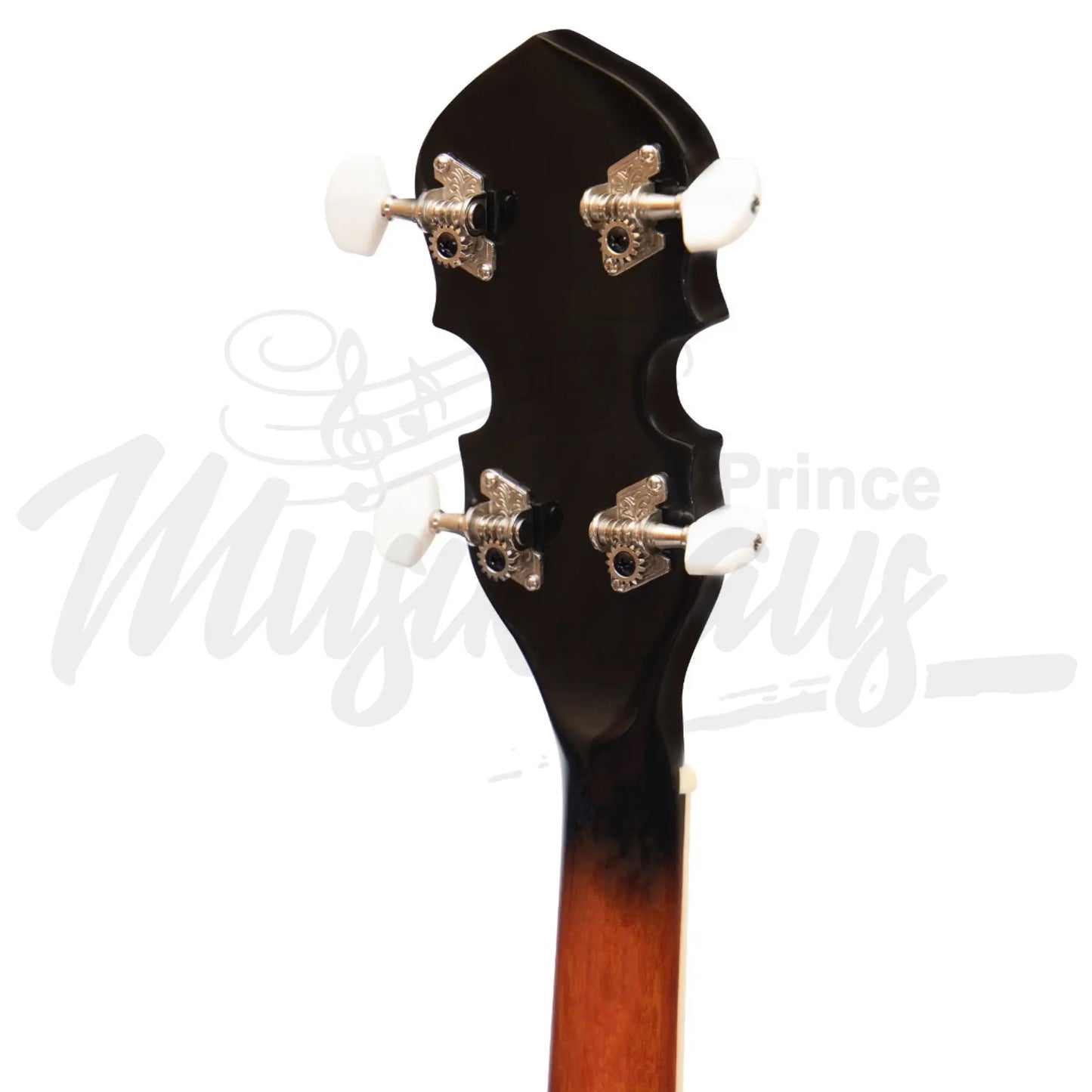 Heartland 4 String 17 Fret Irish Tenor Banjo Left Handed Player Series With Closed Solid Back