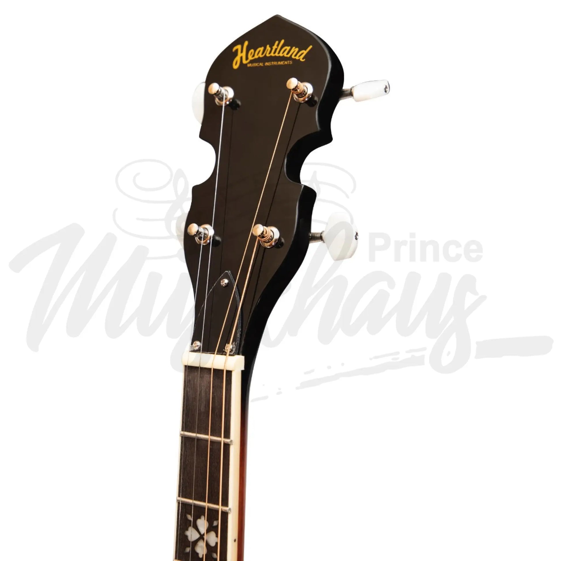 Heartland 4 String 19 Fret Irish Tenor Banjo Left Handed Player Series With Closed Solid Back