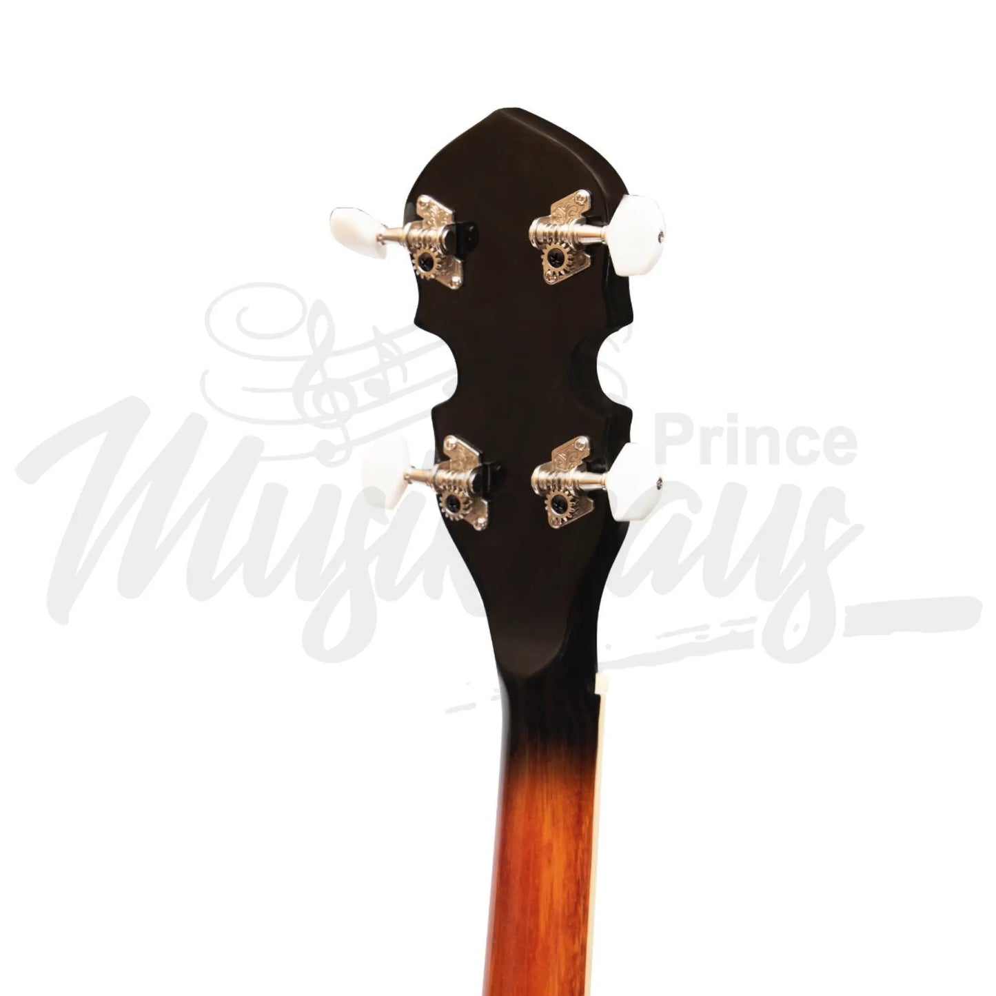 Heartland 4 String 19 Fret Irish Tenor Banjo Left Handed Player Series With Closed Solid Back