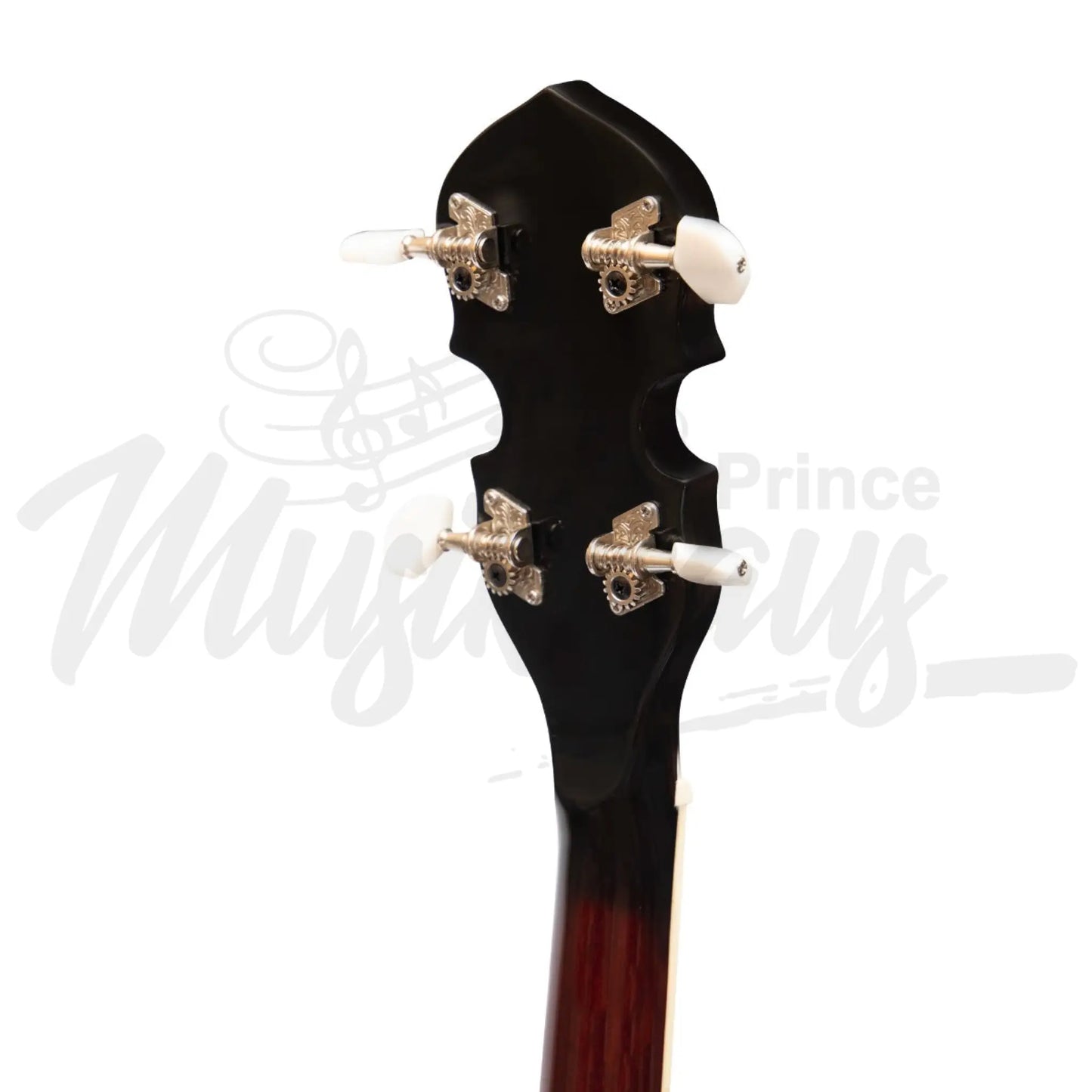 Heartland 4 String Banjo 19 Frets Irish Tenor 24 Bracket With Closed Solid Back