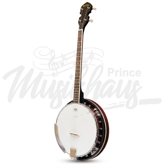 Heartland 4 String Banjo 19 Frets Irish Tenor 24 Bracket With Closed Solid Back