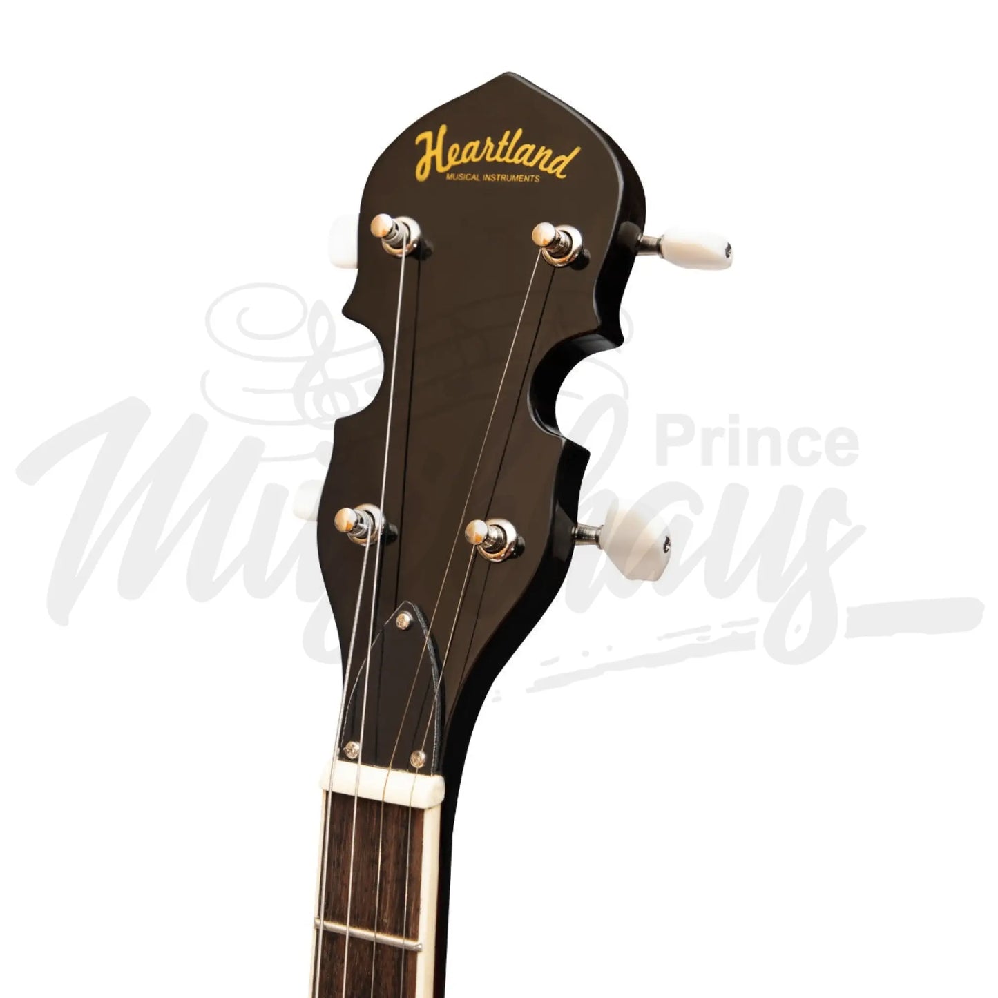 Heartland 4 String Banjo 19 Frets Irish Tenor 24 Bracket With Closed Solid Back