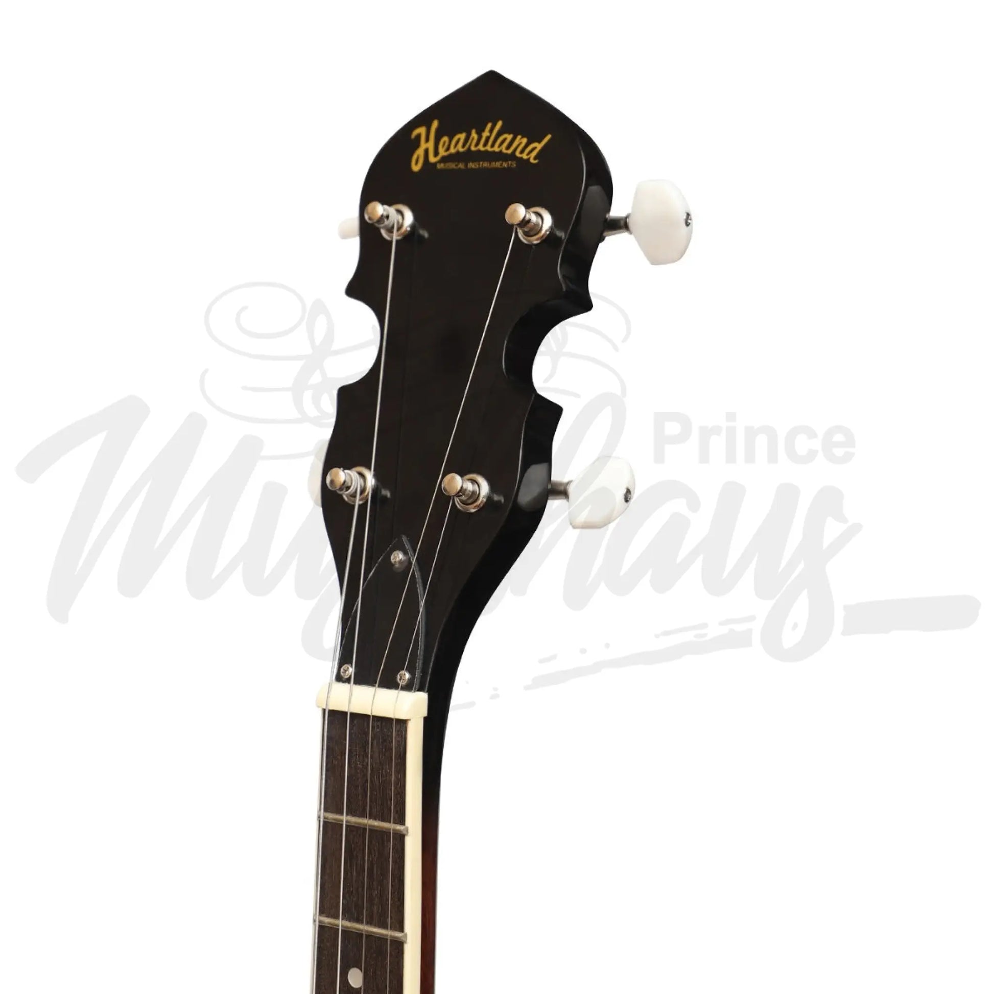 Heartland 4 String Banjo Solid Back 17 Fret Tenor Short Scale