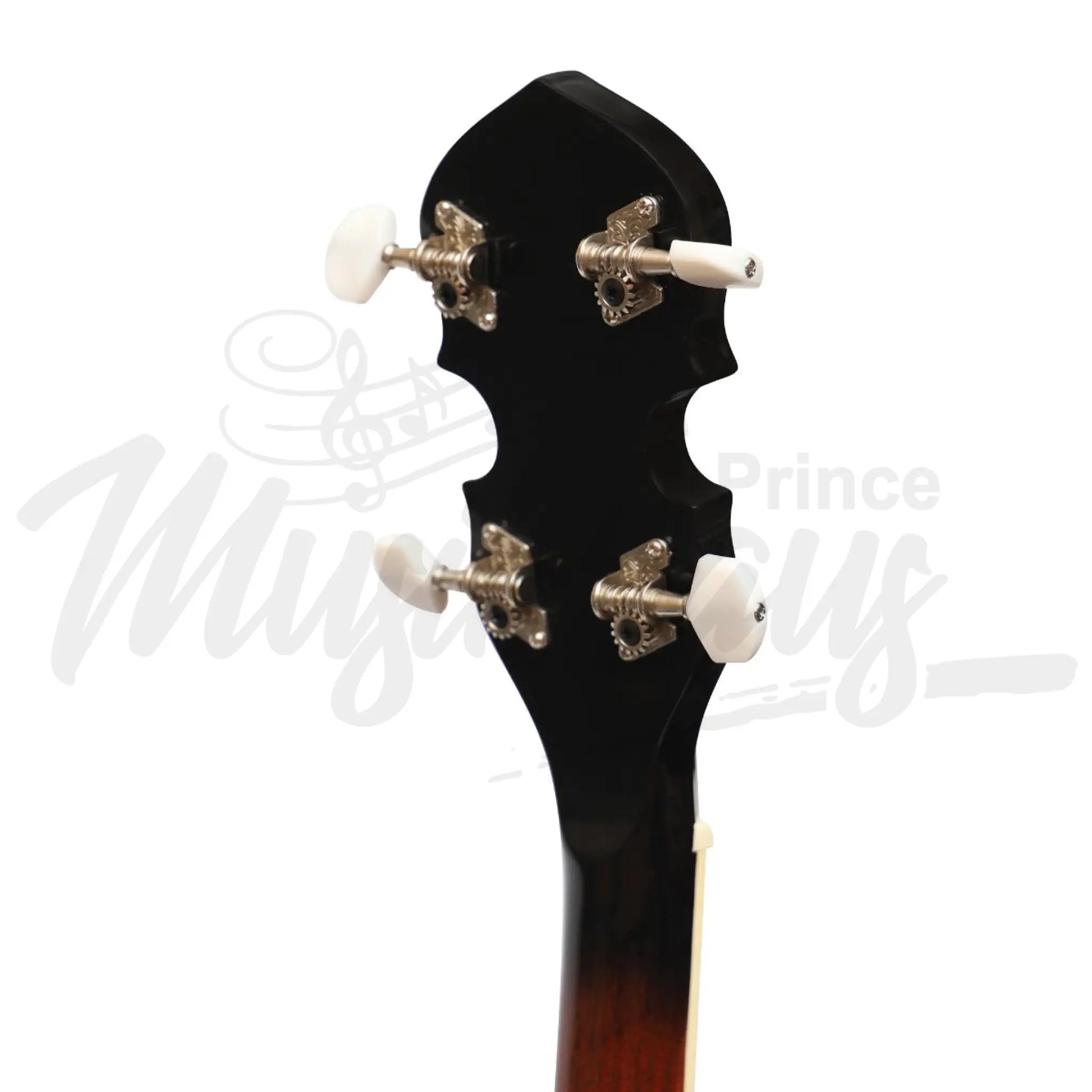 Heartland 4 String Banjo Solid Back 17 Fret Tenor Short Scale