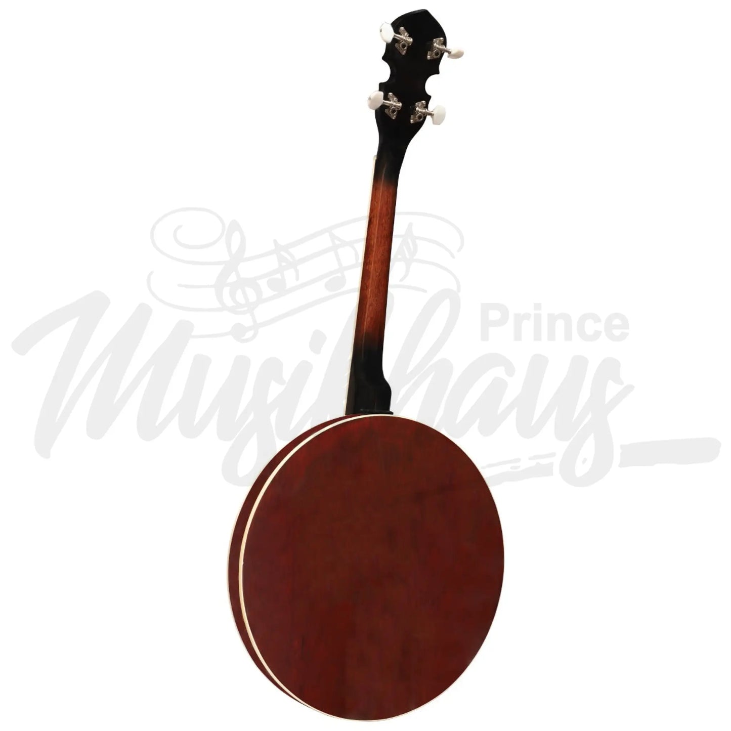 Heartland 4 String Banjo Solid Back 17 Fret Tenor Short Scale