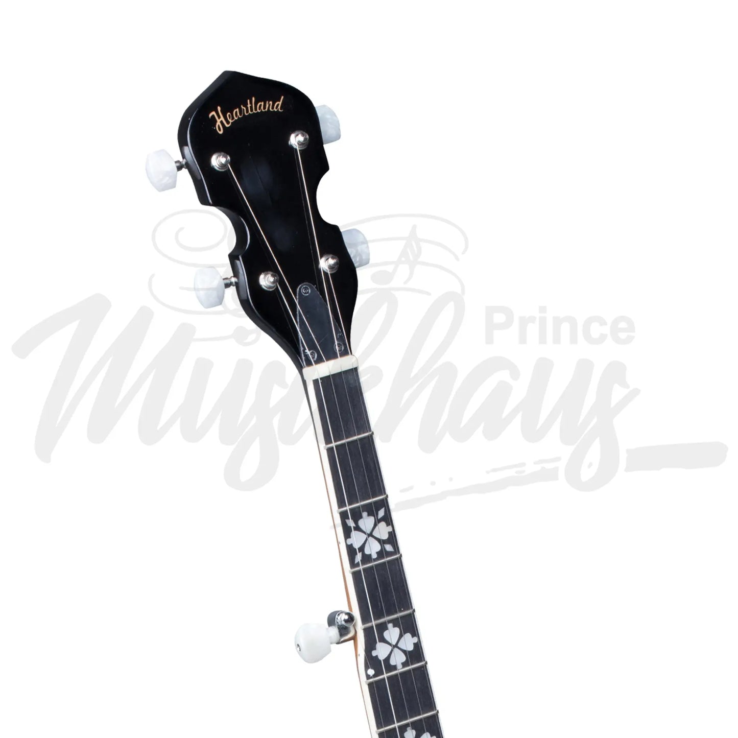 Heartland 5 String Banjo Player Series Sunburst Finish