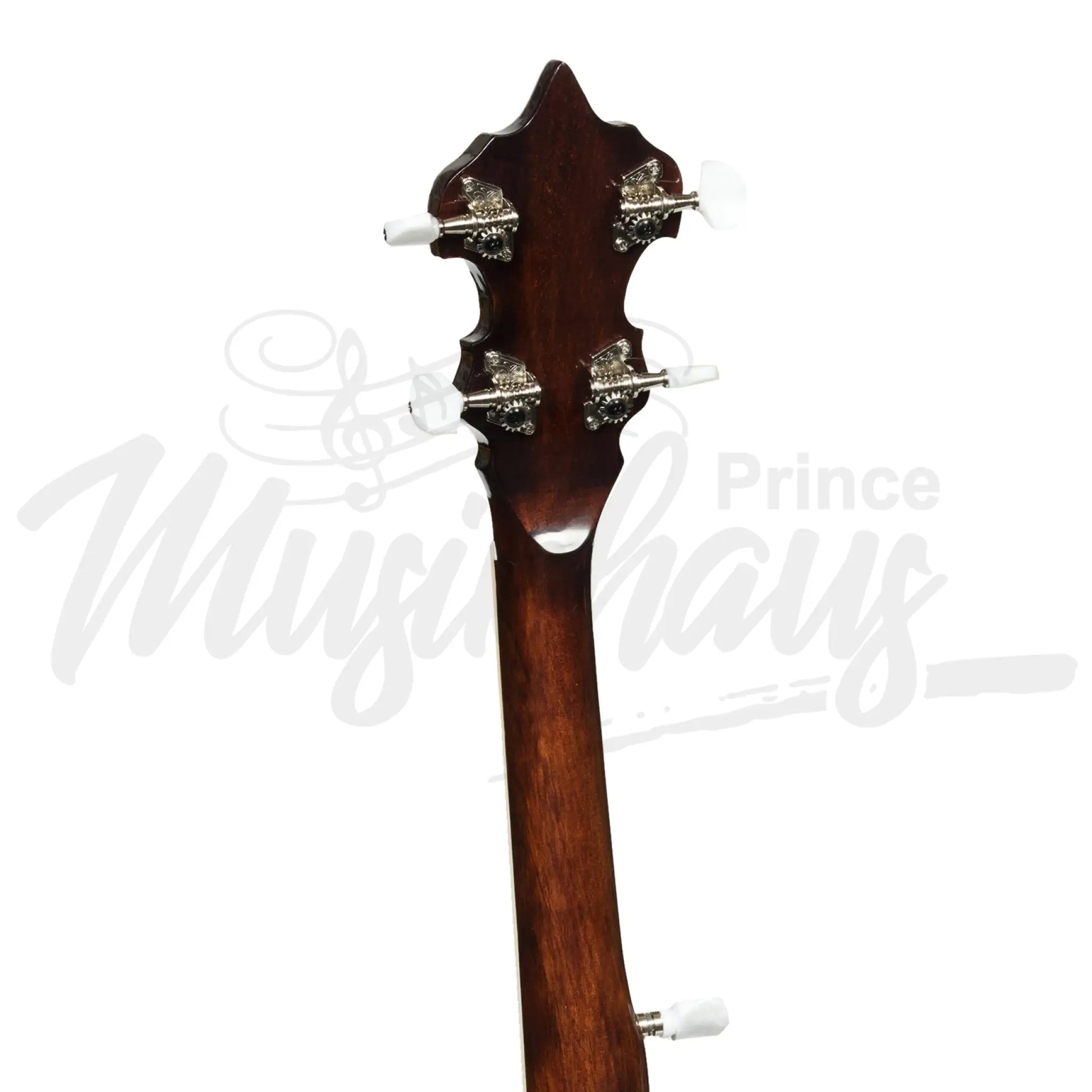 Heartland 5 String Irish Banjo 24 Bracket With Closed Solid Back And Geared 5Th Tuner