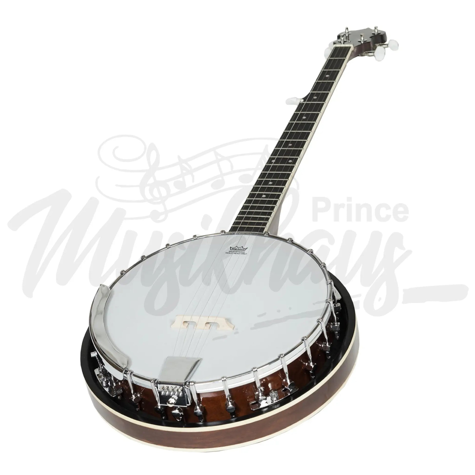 Heartland 5 String Irish Banjo 24 Bracket With Closed Solid Back And Geared 5Th Tuner