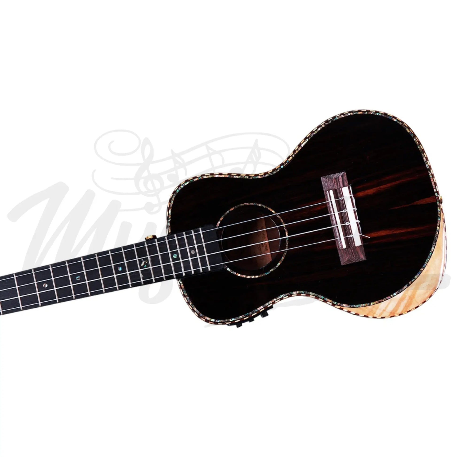 Heartland Concert Ukulele Ebony With Eq