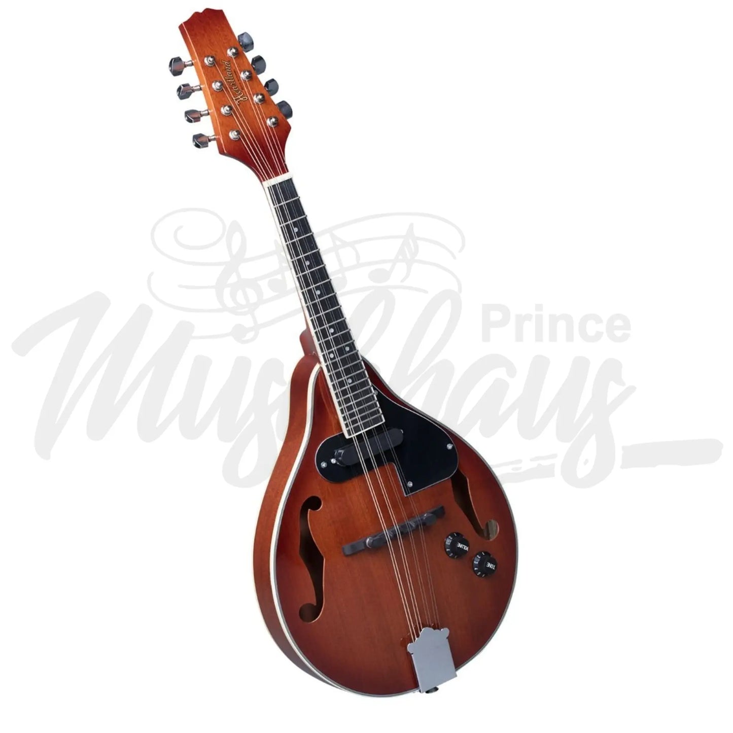 Heartland Mandolin Mahogany Electro Acoustic Gloss Finish