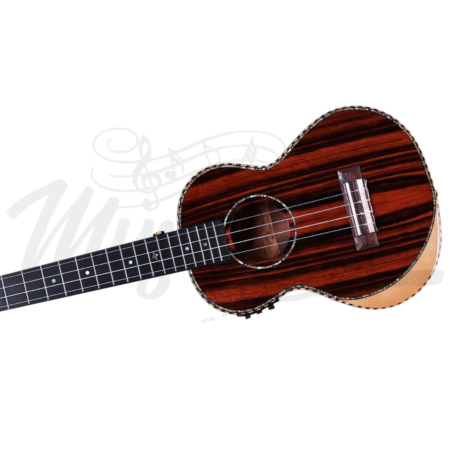 Heartland Tenor Ukulele Ebony With Eq