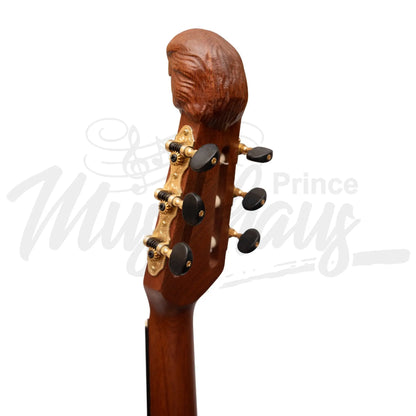 Lute Guitar 6 String Variegated Lacewood Rosewood