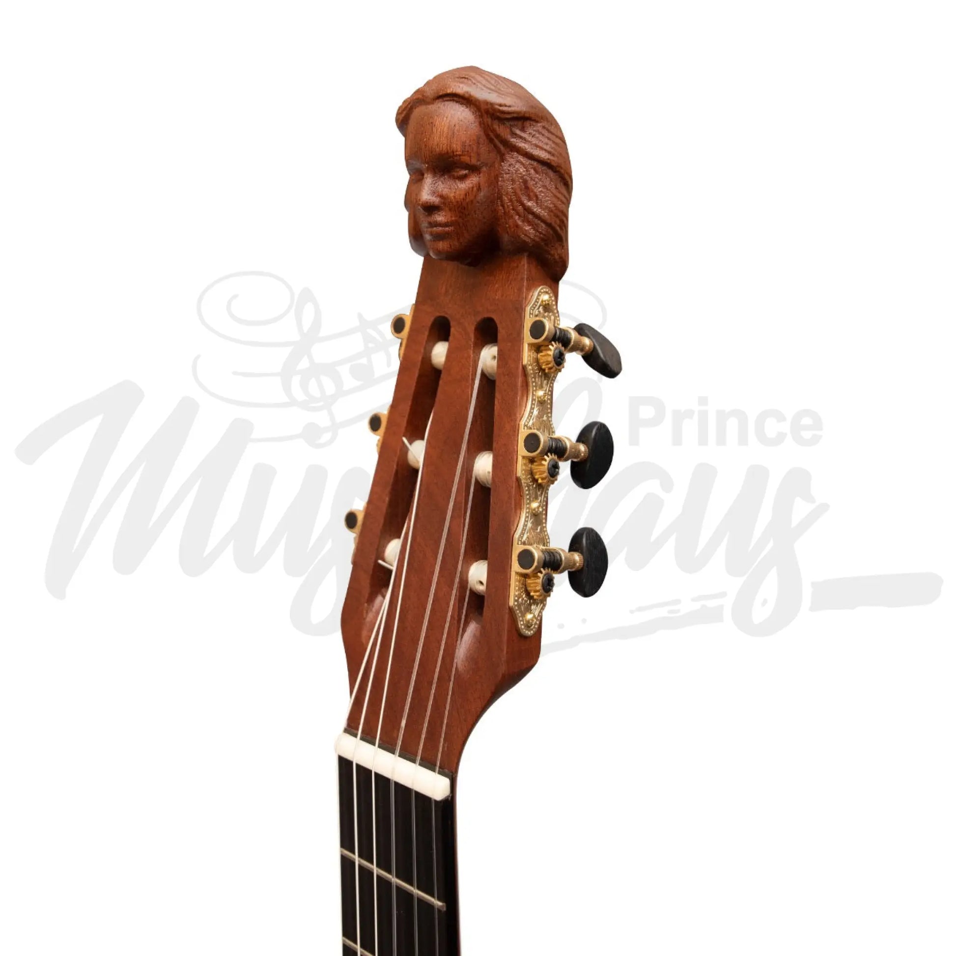 Lute Guitar 6 String Variegated Lacewood Rosewood