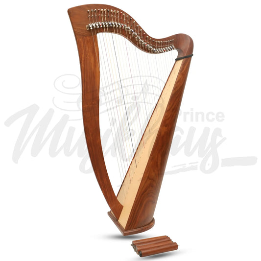 Mchugh Harp 29 String In Rosewood Round Back