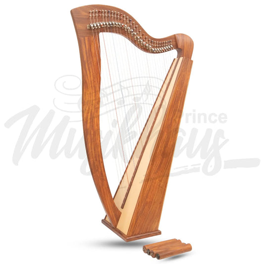 Mchugh Harp 29 String Rosewood Square Back