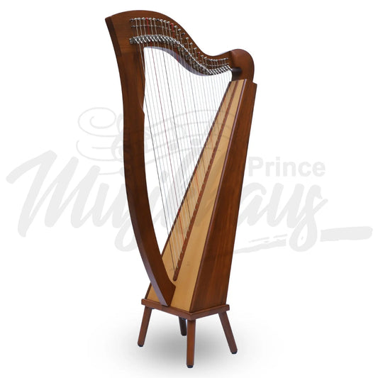 Mchugh Harp 29 String Rosewood Square Back Aquila Nylon Gut Strings