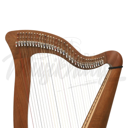 Mchugh Harp 34 String In Walnut Round Back