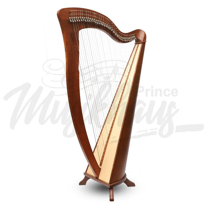 Mchugh Harp 38 String In Rosewood Round Back