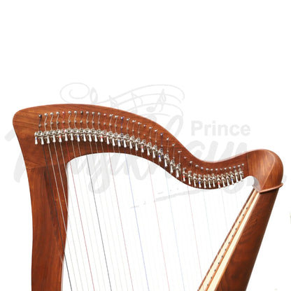 Mchugh Harp 38 String In Rosewood Round Back