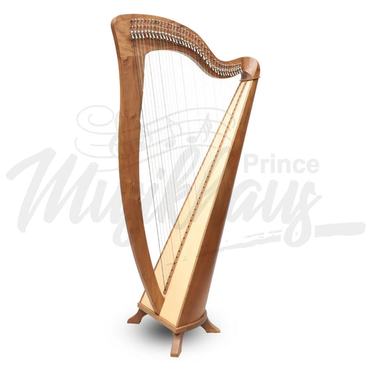 Mchugh Harp 38 String Walnut Round Back