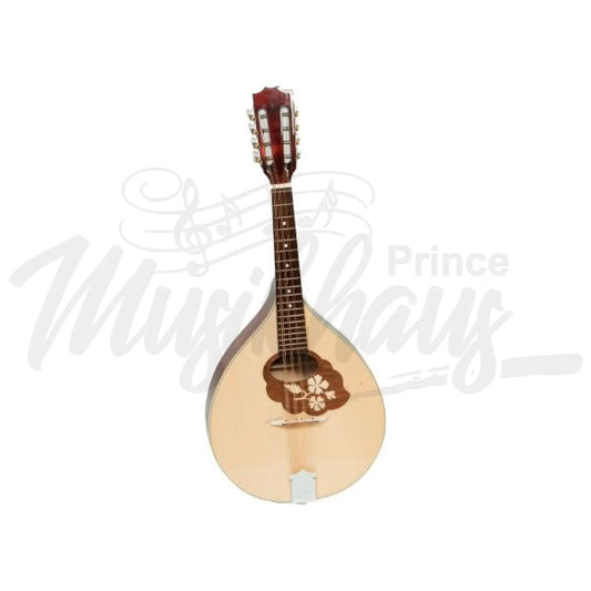 Muzikkon Mandola