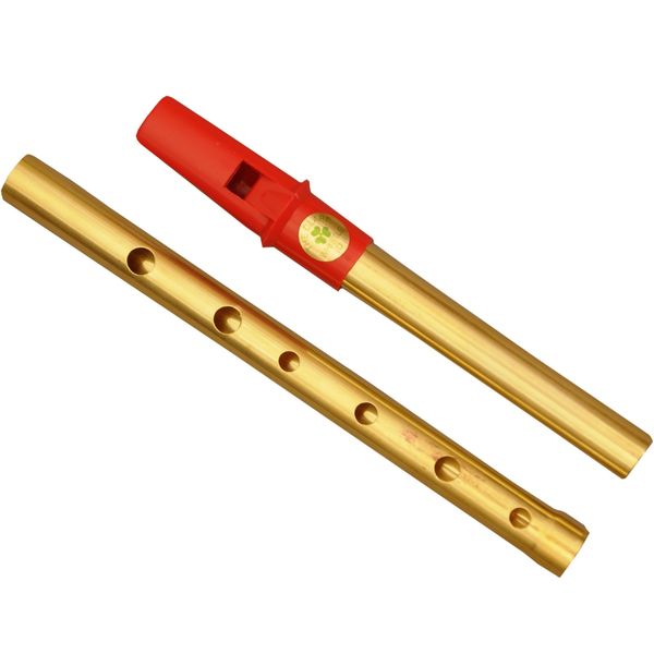 CLARE IRISH TIN WHISTLE 2 PART IN D BRASS RED